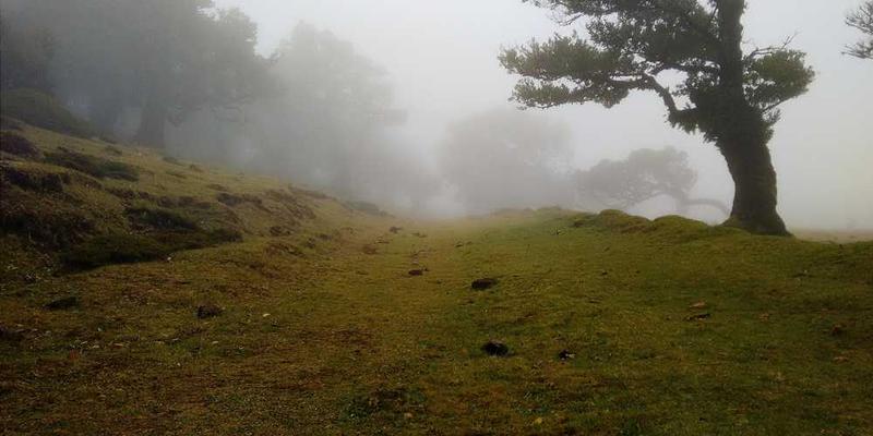 Creative composition